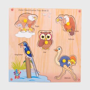 Identification Tray – Birds II