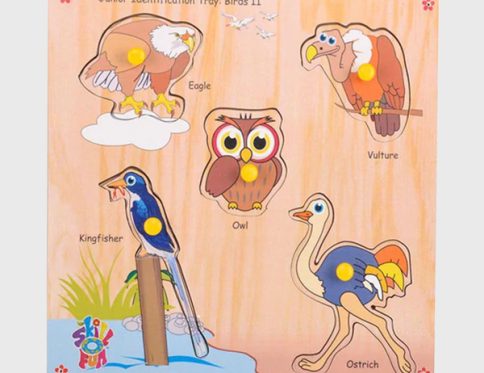 Identification Tray – Birds II