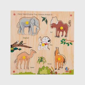 Identification Tray-Common Animal II